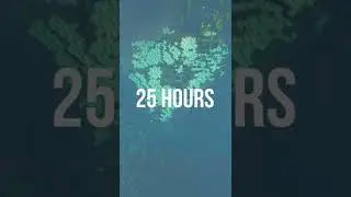 End Portal Transformation in Survival Minecraft