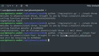 Stack three & four de Exploit Education - Segmentation Fault