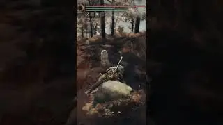 Goku in Elden Ring???