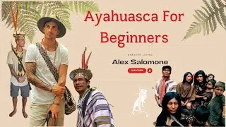 Ayahuasca for Beginners | Introduction to Ayahuasca - What you need to know!