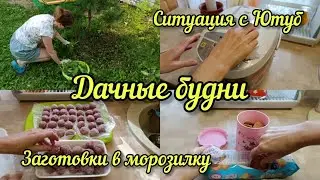 Продолжаются дачные будни. Наконец-то помыла мультиварку. Заготовки в морозилку и дела на участке.