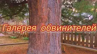 Галерея обвинителей 