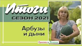Арбузы и дыни 2021. Итоги сезона