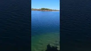 рыбалка в нерест
