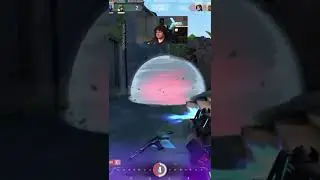 The stinger is the best 