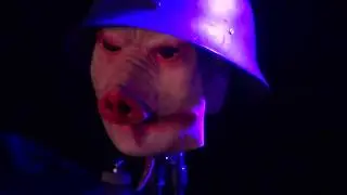 PIGMAN (live @ Manifest On Tour, Nalen Klubb Stockholm Februrary 13 2020)