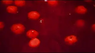 Как приготовить Кисель дома