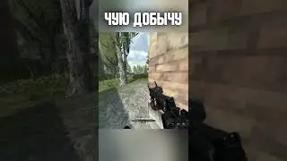 РЕФЛЕКС ХИЩНИКА🦇