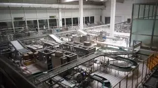 Dairy production #2