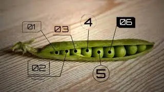 152 Call Out Titles   FREE AFTER EFFECT TEMPLATE