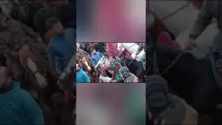 Бузкаши 07.01.2024 тамошо кун лайка бшап