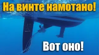 184. Яхтинг с риском для жизни! Срезаем мусор с винта по дороге в Чефалу! Сицилийские приключения ч2