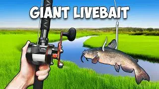 Giant Livebait Fishing Challenge