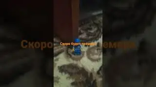 1 декабря 2021 г.