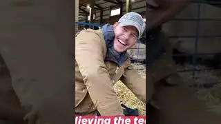 Chris Pratt Squirts With Sheep’s Milk 🐑💦 