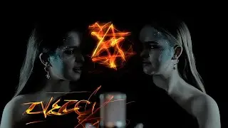 Кошки - ЗВЁЗДЫ