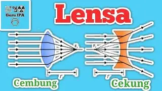 Concave Lenses and Convex Lenses