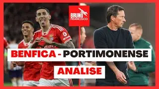 Benfica x Portimonense: Análise FLASH!