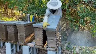 Formic Pro Second Application for the Swarm Catch Nuc Yard