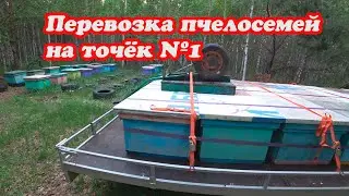 ВТОРОЙ ДЕНЬ ПЕРЕВОЗКИ ПЧЕЛОСЕМЕЙ НА ТОЧЁК №1