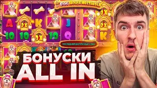 ПОКУПАЮ БОНУСКИ ALL IN В THE DOG HOUSE MULTIHOLD / ПОЙМАЛ ЗАНОС ( ЗАНОСЫ НЕДЕЛИ )