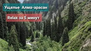 Ущелье Алма-арасан Relax за 5 минут