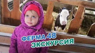 Экскурсия на Ферму48