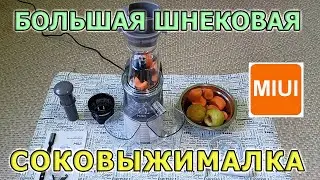 Large auger juicer MIUI JE230-32M00. Home juicer for vegetables and fruits.