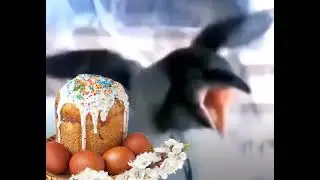 АААА ПАСХА ПАСХА ПАСОЧКА!