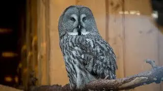 Tallinn Zoo