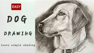 HOW to Draw a DOG Step by Step | SIMPLE Shading