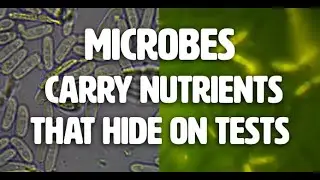 #Microbes