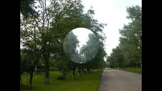 центр мартоноша 2021