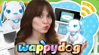 What the heck is a Wappy Dog?