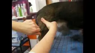 Ténica de Stripping de cerca