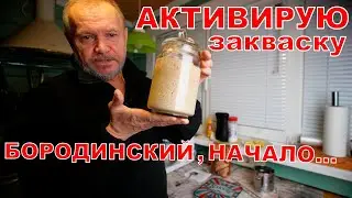 Оживляю закваску для бородинского. Начало.