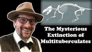 The Mysterious Extinction of Multituberculates