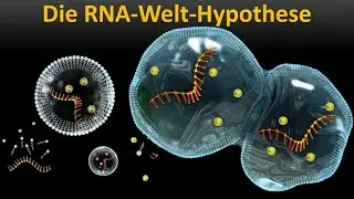 Die RNA-Welt (Vorlesung Entstehung des Lebens Teil 14)