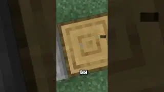 ЭТО НИКТО НЕ ЗАМЕЧАЛ 13 ЛЕТ В МАЙНКРАФТ!!!!! #minecraft #игры #майнкрафт #факт #shorts
