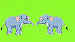 Elephant green screen/হাতি ভিডিও /carton elephant/elephant green screen video/animals video