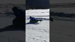На плюшке