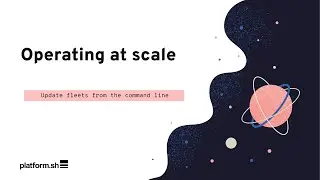 Operating at scale: managing dozens or hundreds of sites with Platform.sh