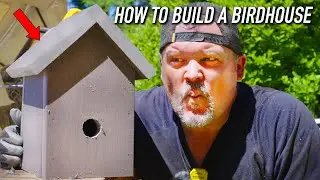Elevate Your Deck by Inviting Birds with a DIY House || Dr Decks