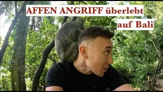 Wilde Tiere haben meine Freundin angegriffen