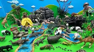Diorama for Animals | Safari Africa Animal With Camping Play Set | Lion Camel Elephant 개미핥기 캠핑 동물원