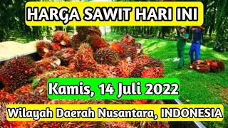 HARGA SAWIT HARI INI, TERBARU 14 JULI 2022 Wilayah Daerah Nusantara INDONESIA