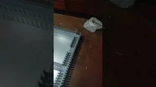 Всё пошло не так...