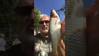 KILLER FISH 007 !!! TAGANKA 2023 !!!