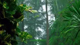4K Relaxing Nature Sounds - Short Video Clips of Nature!! #naturelover