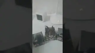 скоро 2 часть